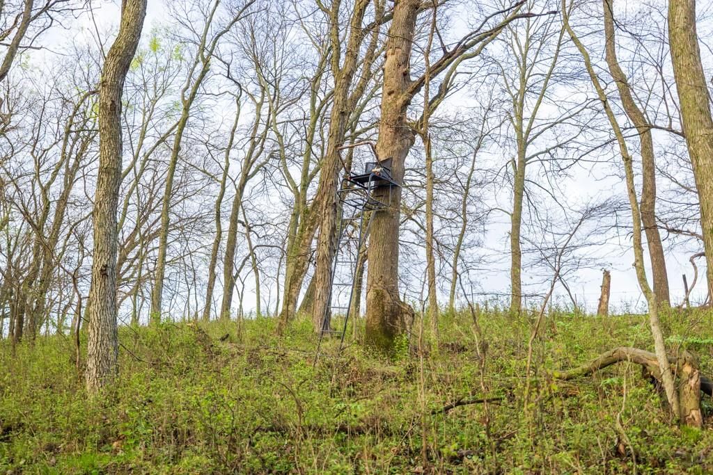 26568 November Road — photo 37