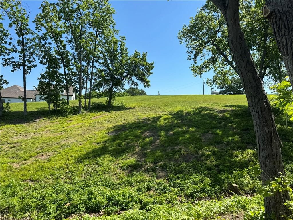 Lot 367 Lake Viking Terrace — photo 9
