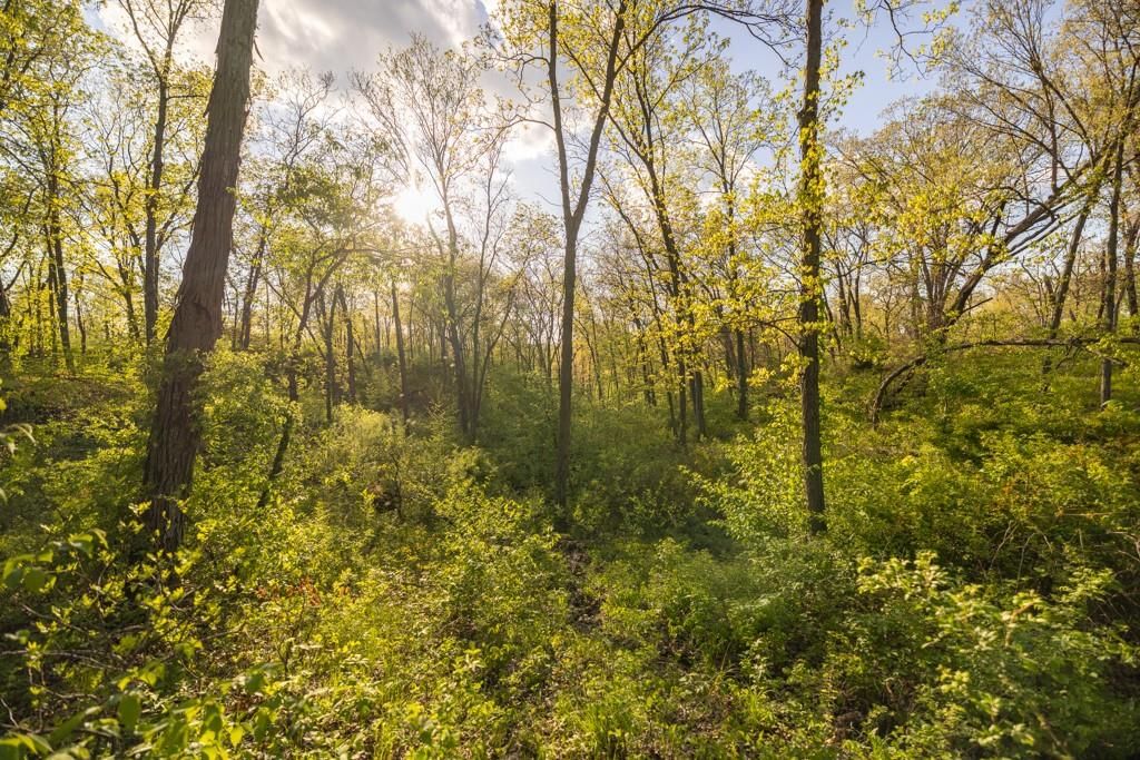65200 Sultan Road — photo 59