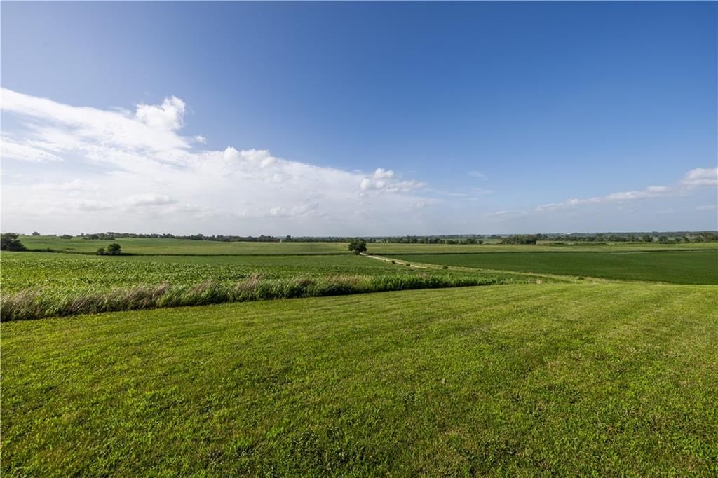 2196 County Road 141 — photo 13