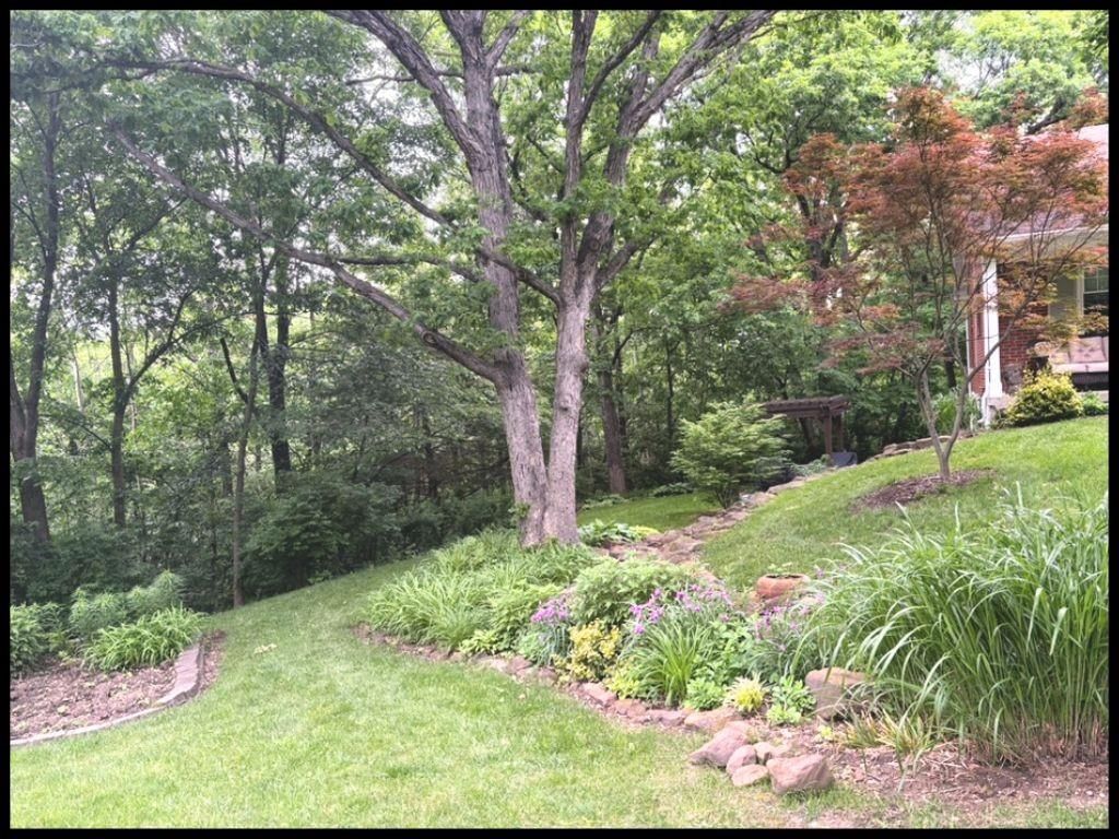812 Laurel Drive — photo 3