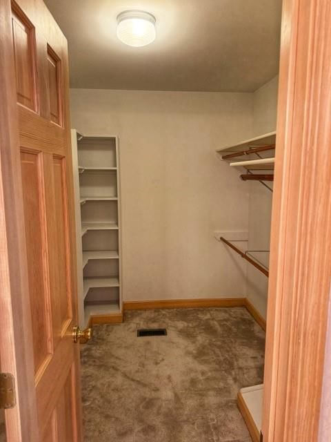 517 Raintree Drive — photo 21