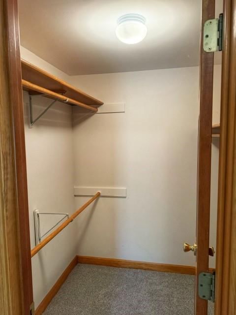 517 Raintree Drive — photo 35