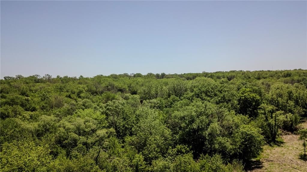 35900 Plum Creek Road — photo 11