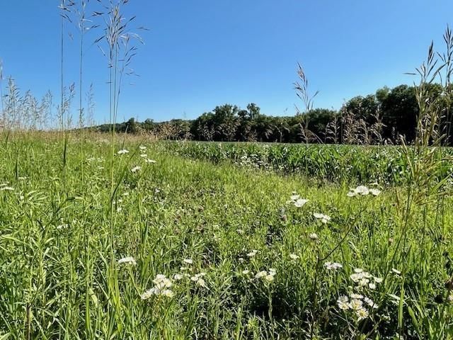 10.66 Acres M/L N 800 Road — photo 7