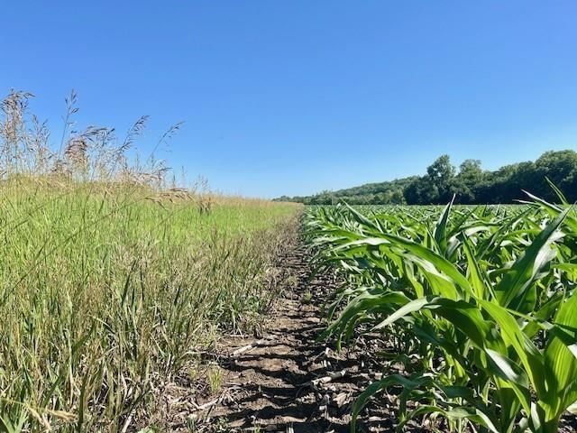 10.66 Acres M/L N 800 Road — photo 8