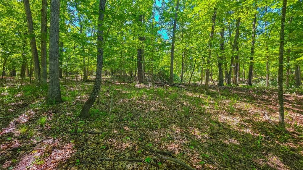 Lot #1190 Spring Creek Drive — photo 3