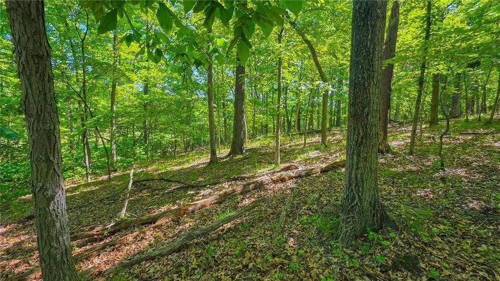 Lot #1190 Spring Creek Drive — photo 4