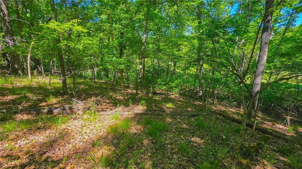 Lot #1190 Spring Creek Drive — photo 5