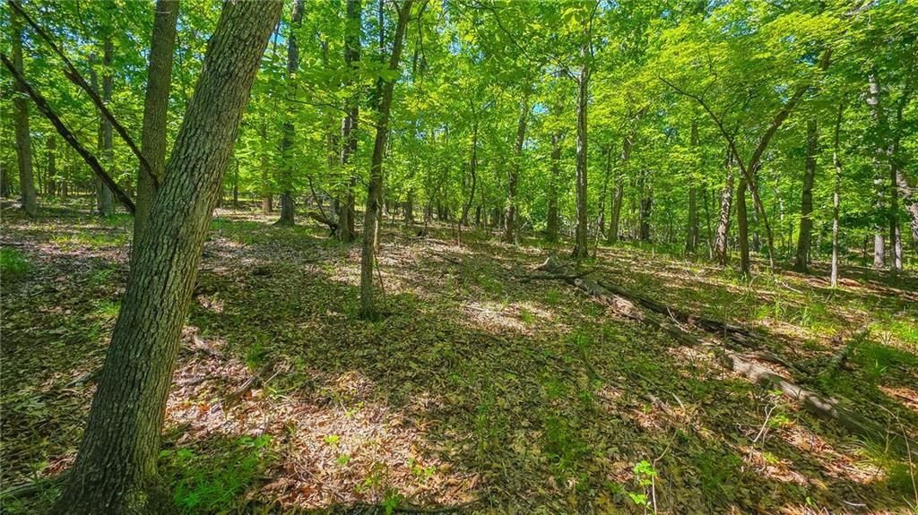 Lot #1190 Spring Creek Drive — photo 6