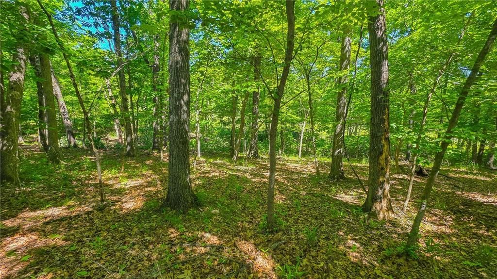 Lot #1190 Spring Creek Drive — photo 7
