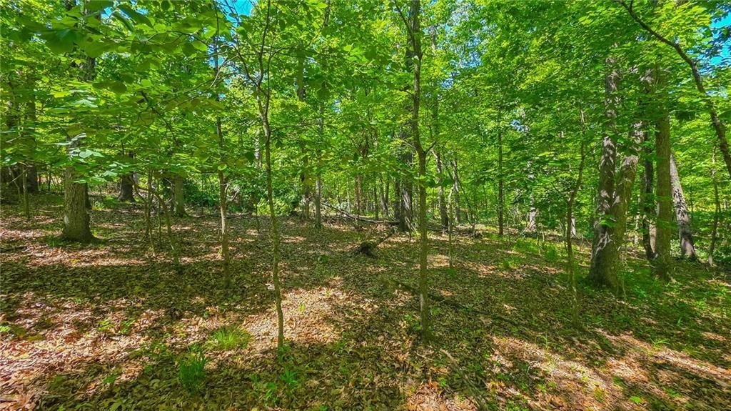 Lot #1190 Spring Creek Drive — photo 8