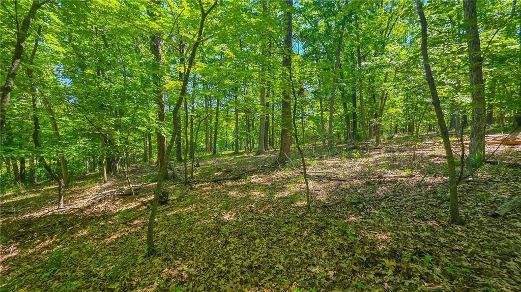 Lot #1190 Spring Creek Drive — photo 9