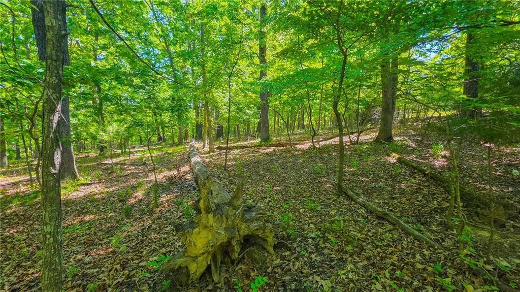 Lot #1190 Spring Creek Drive — photo 10