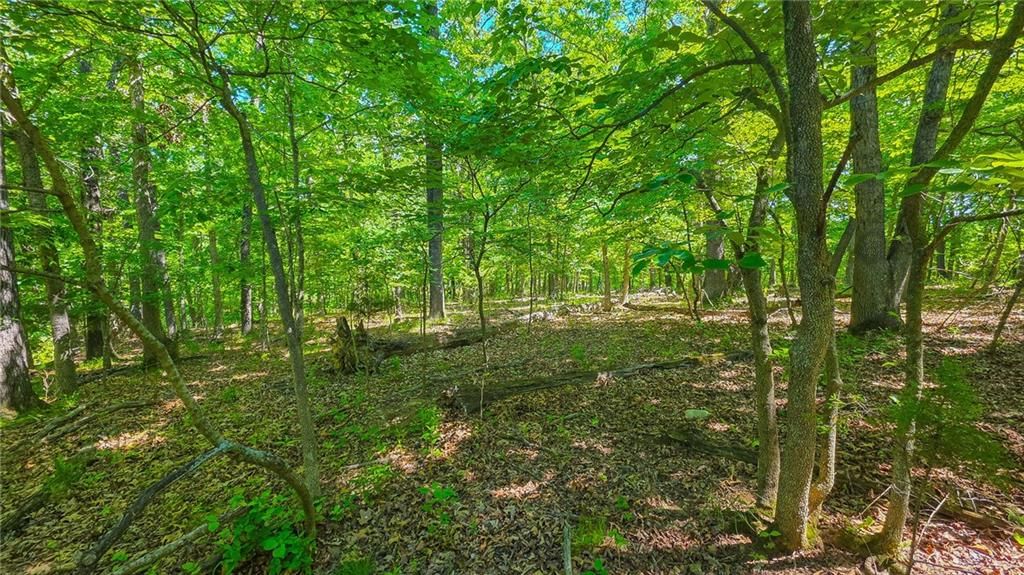 Lot #1190 Spring Creek Drive — photo 11