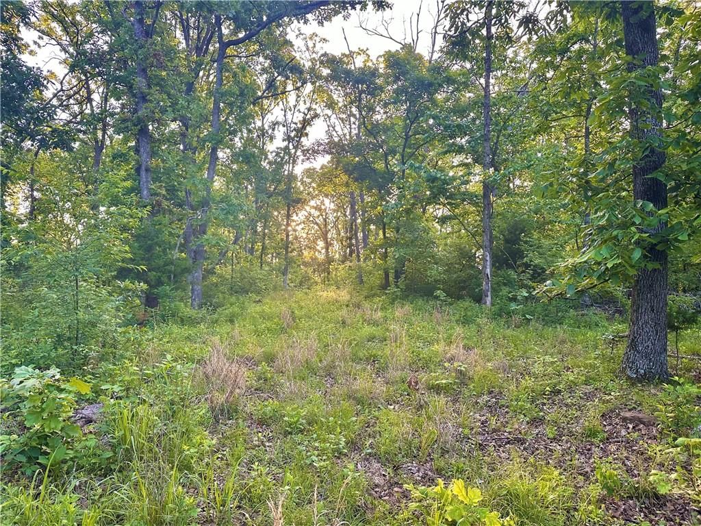 E 2100 Road — photo 11