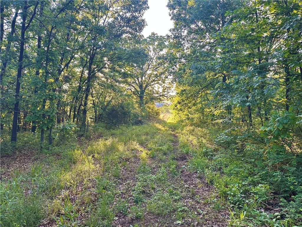 E 2100 Road — photo 14