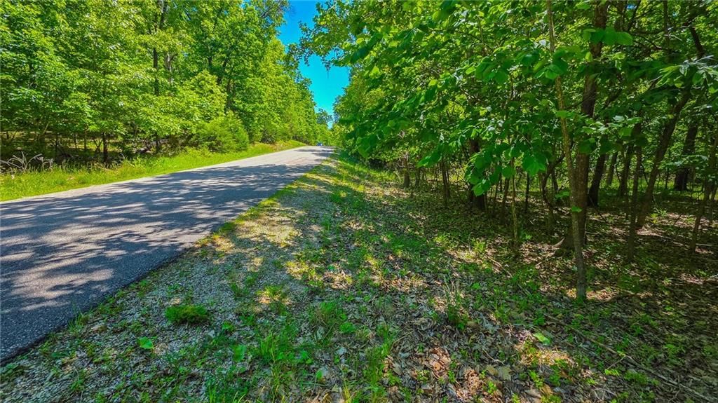 Lot #1148 Spring Creek Drive — photo 2