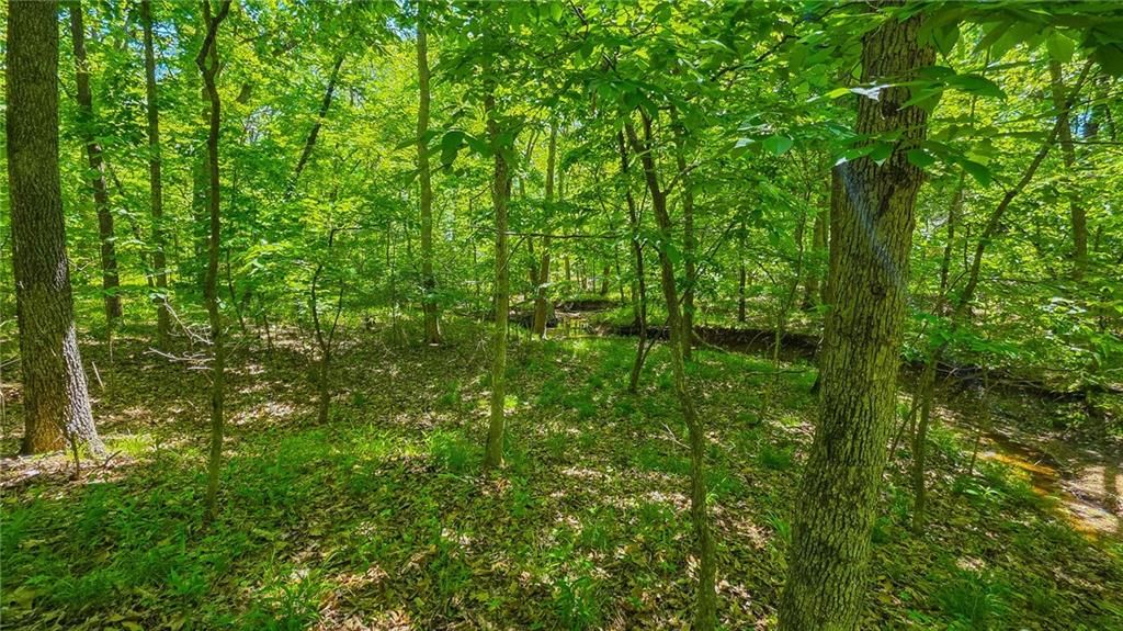 Lot #1148 Spring Creek Drive — photo 3