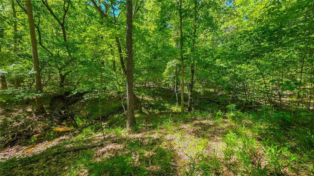Lot #1148 Spring Creek Drive — photo 4