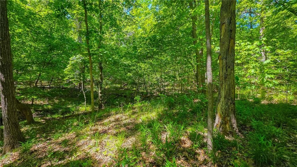 Lot #1148 Spring Creek Drive — photo 5