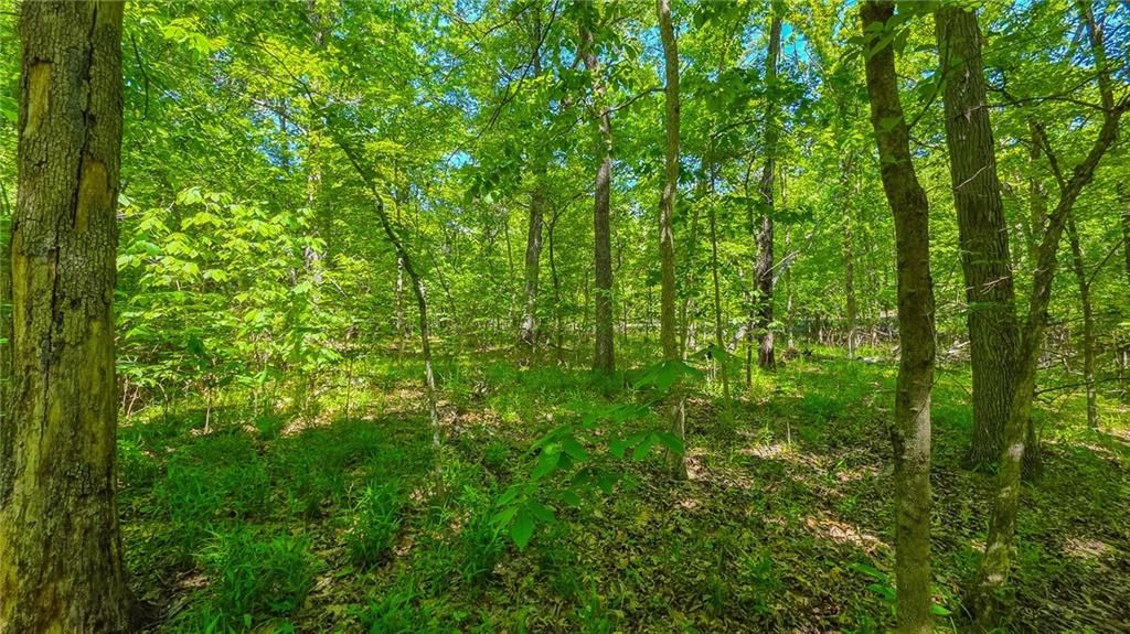 Lot #1148 Spring Creek Drive — photo 6