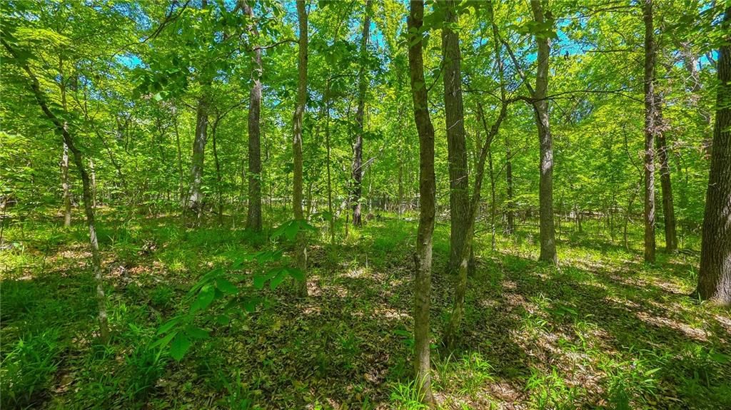 Lot #1148 Spring Creek Drive — photo 7