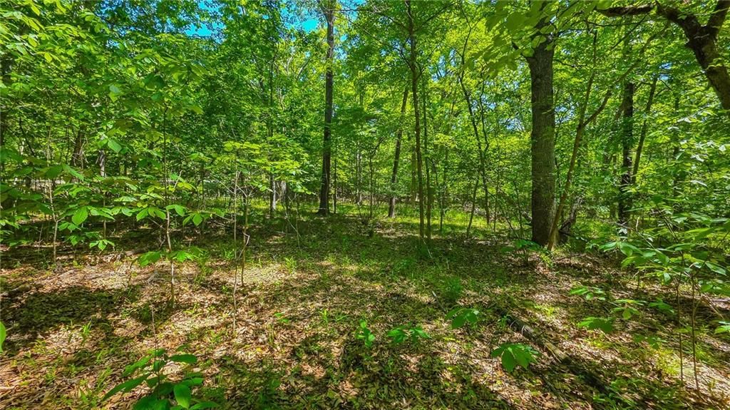 Lot #1148 Spring Creek Drive — photo 8