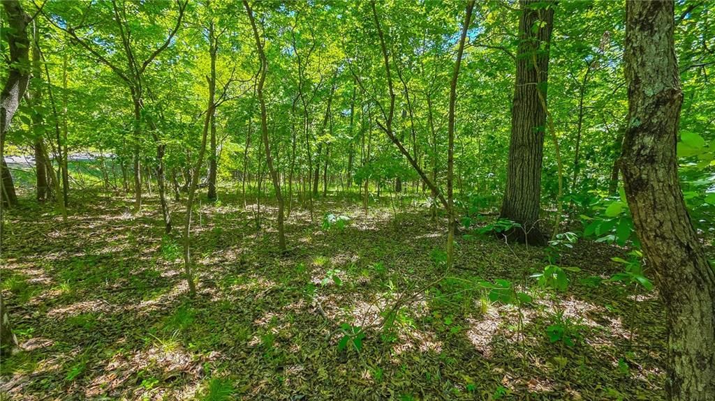 Lot #1148 Spring Creek Drive — photo 9