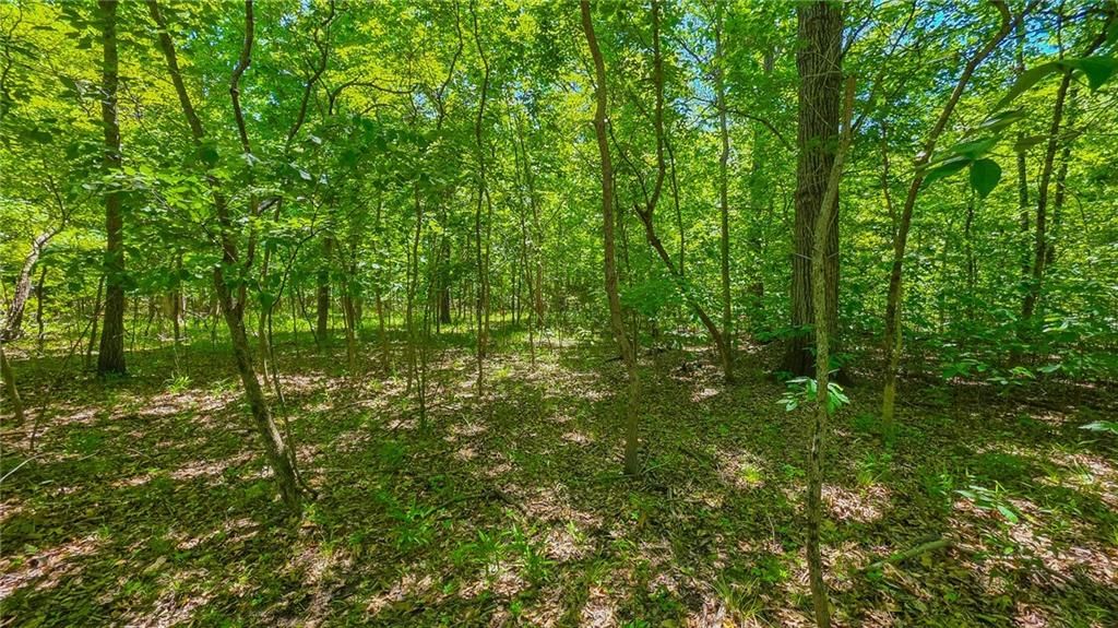 Lot #1148 Spring Creek Drive — photo 10