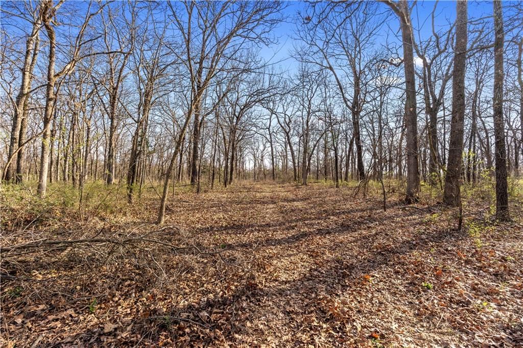 23529 - Tract 1 E Overland Road — photo 6