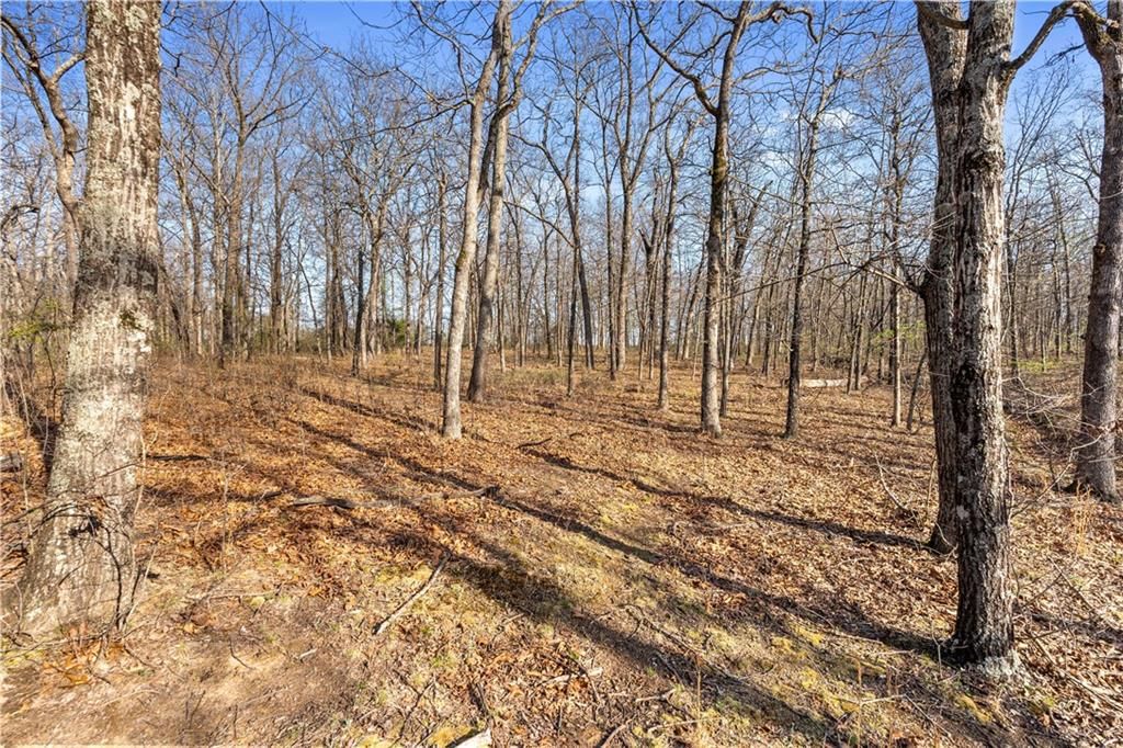 23529 - Tract 1 E Overland Road — photo 9