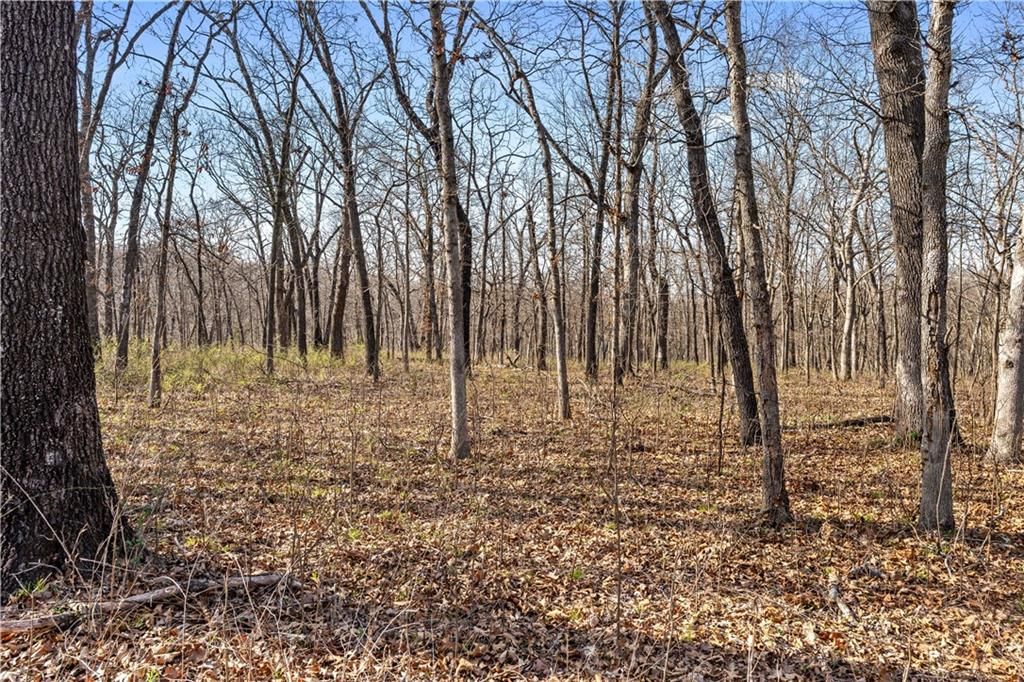 23529 - Tract 1 E Overland Road — photo 13