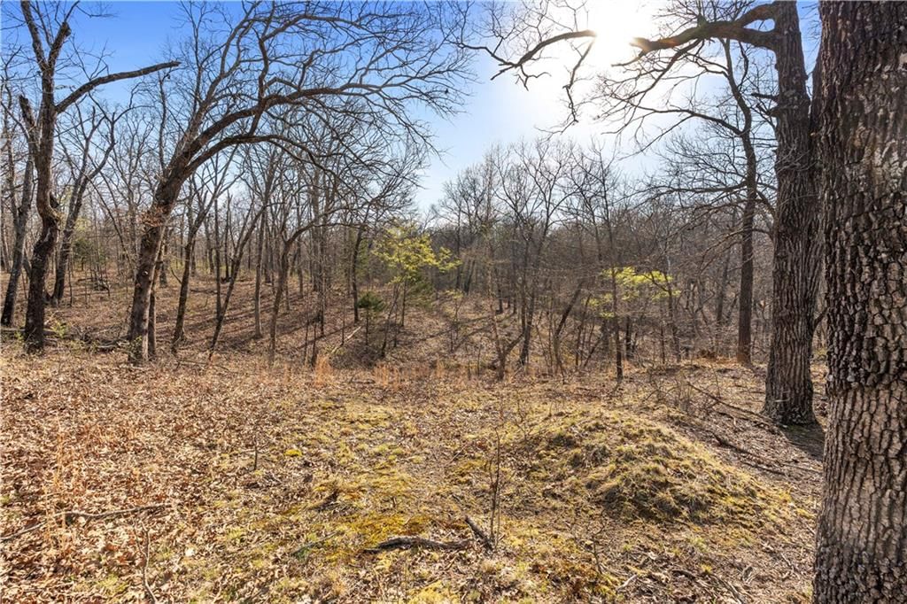 23529 - Tract 1 E Overland Road — photo 15