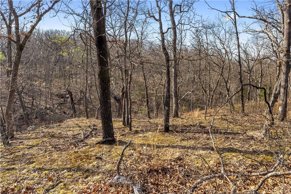 23529 - Tract 1 E Overland Road — photo 17
