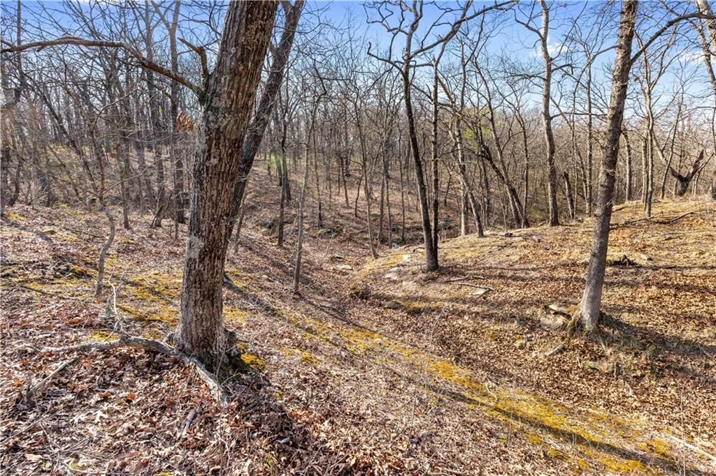 23529 - Tract 1 E Overland Road — photo 18