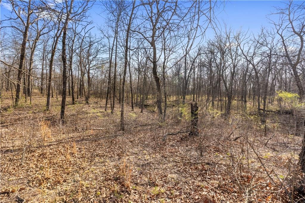 23529 - Tract 1 E Overland Road — photo 19