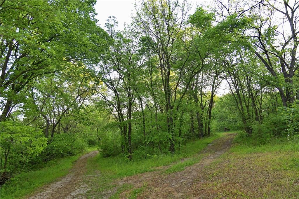 8005 SE State 116 Highway — photo 33