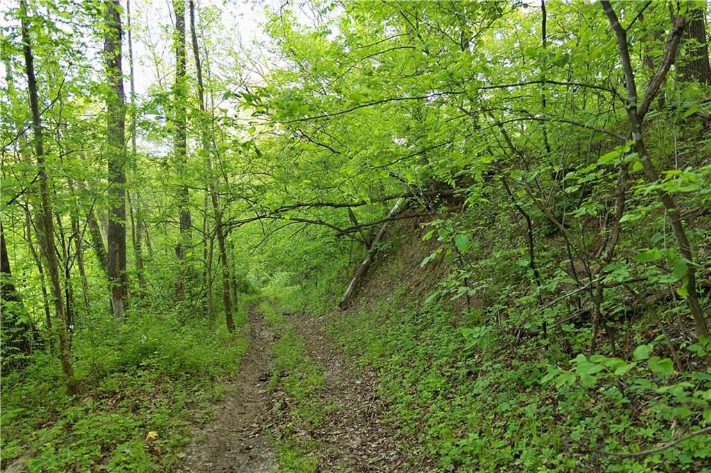 8005 SE State 116 Highway — photo 36