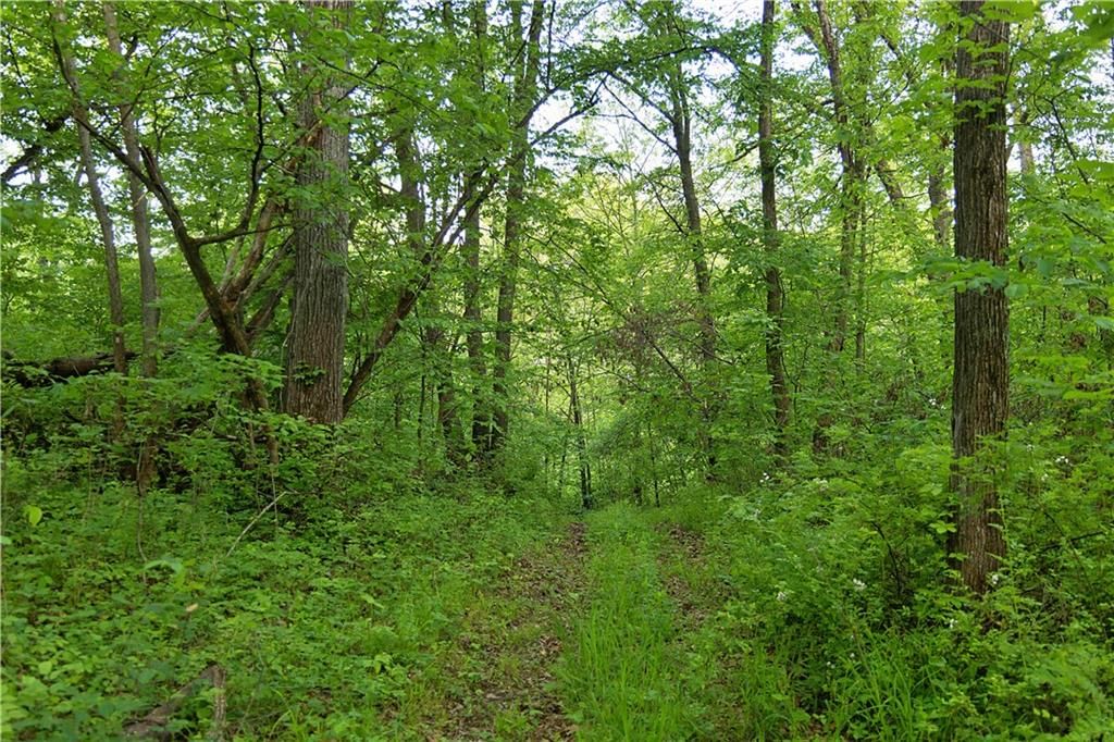 8005 SE State 116 Highway — photo 39