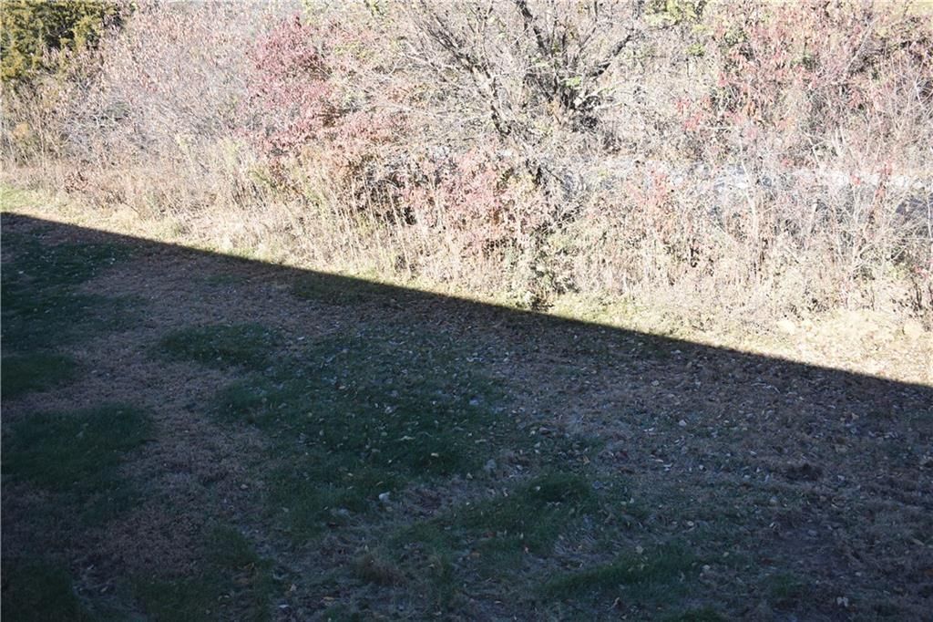 11789 Ridgeway Drive — photo 21