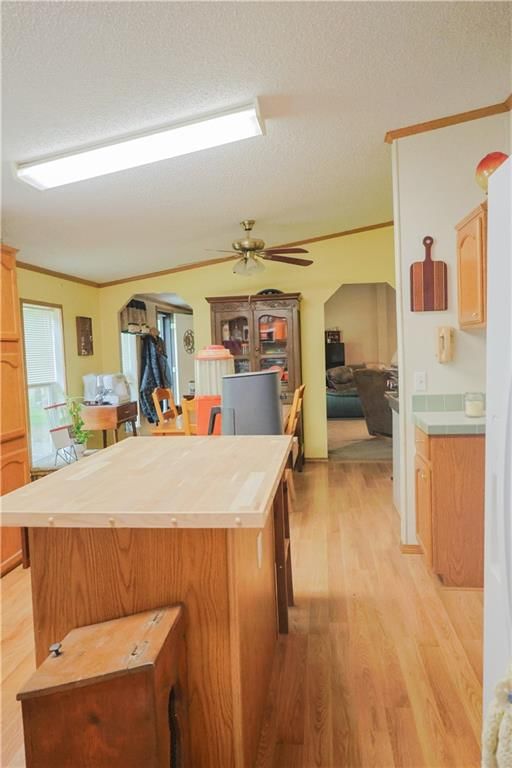 25 El Dorado Lane — photo 8