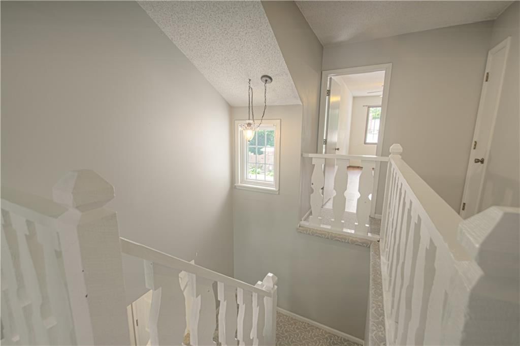 10103 Edelweiss Circle — photo 27