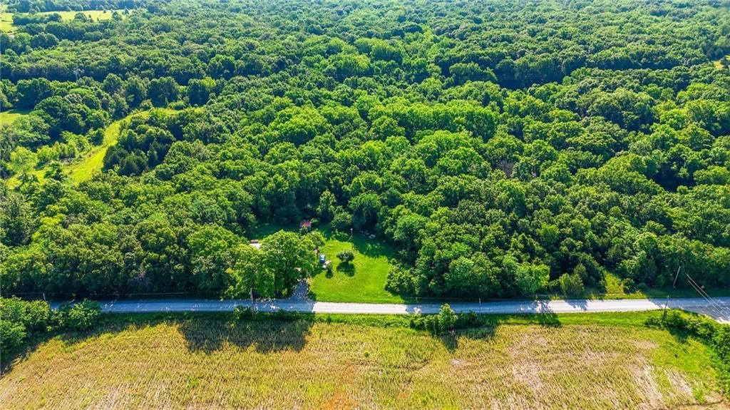 22207 S Excelsior Road — photo 21