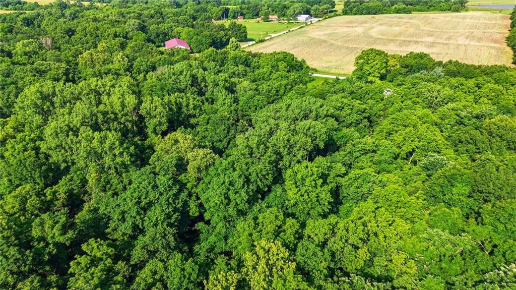 22207 S Excelsior Road — photo 32