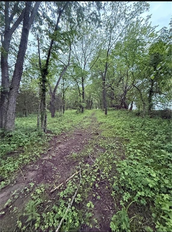 00000 Mitchell Road — photo 4