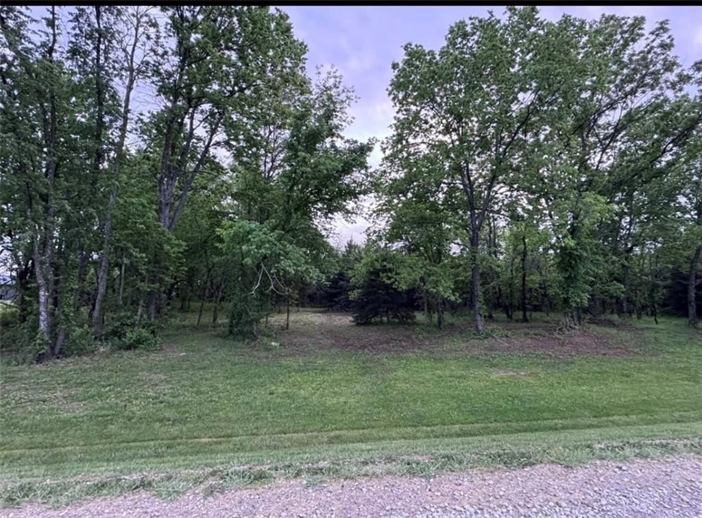 00000 Mitchell Road — photo 5