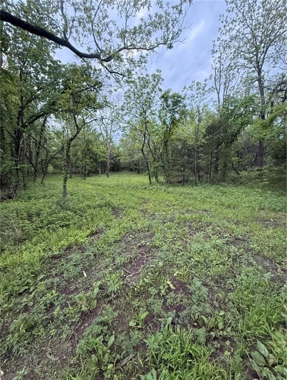 00000 Mitchell Road — photo 6