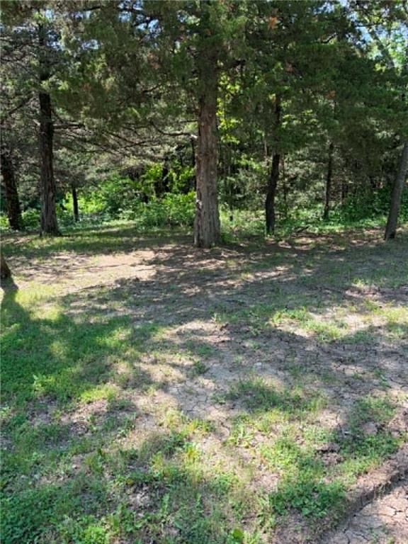 54 Bear Drive — photo 4