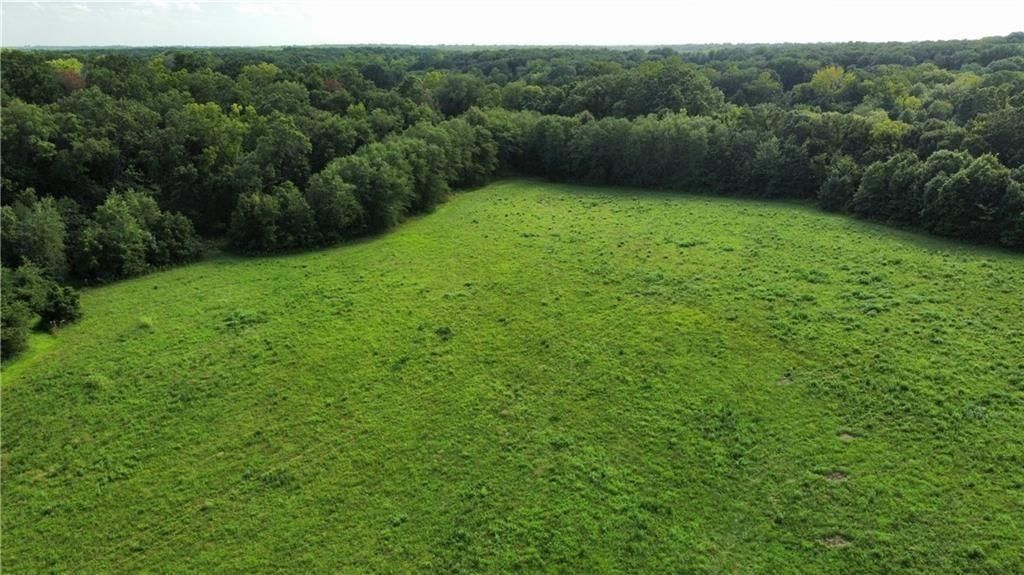 425 SE 611th - Tract A - Road — photo 5